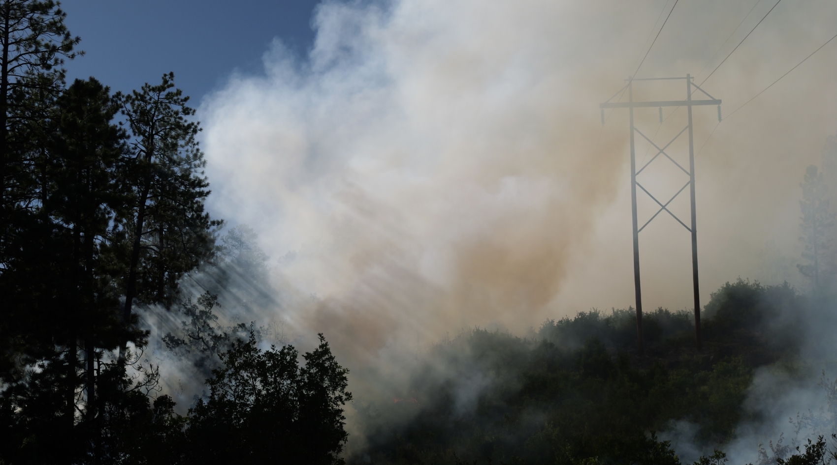 As a key piece of infrastructure, mangers focused on protecting the TriState Transmission Lines through low-intensity fire in order to prevent future high-intensity fire in the area. Photo credit: Lorena Williams, San Juan NF.